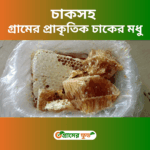চাকসহ গ্রামের প্রাকৃতিক চাকের মধু