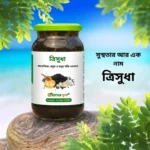 ত্রিসুধা